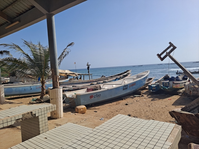       Beachfront with several boats and a palm tree.
  