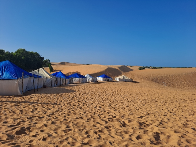 Desert tents with blue roofs among sand dunes.