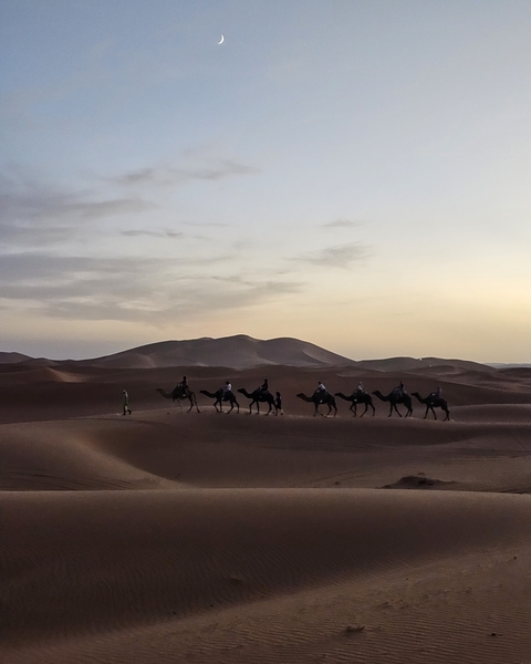 Silhouette of camels with riders against desert dunes at dusk.