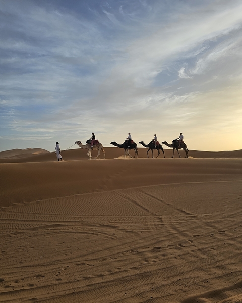 Group camel ride through desert dunes at sunset.