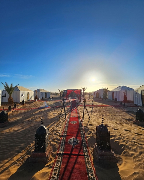 Setup of desert camp tents in morning light.