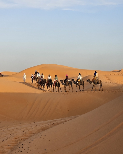 Line of camels walking in the desert with people riding.