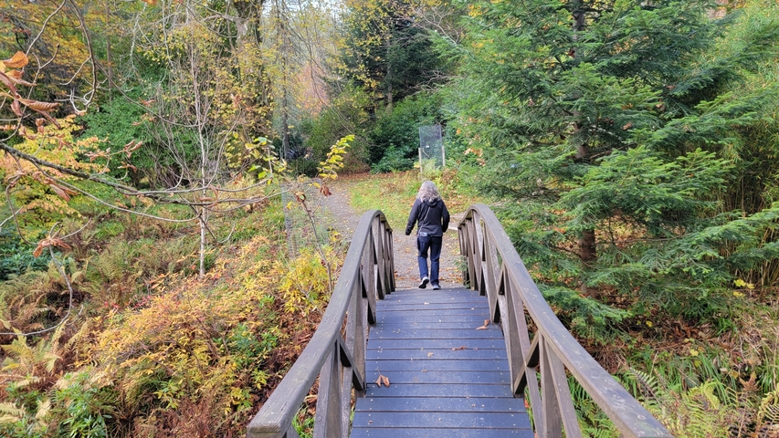       Person walking on a bridge surrounded by autumn foliage.
  