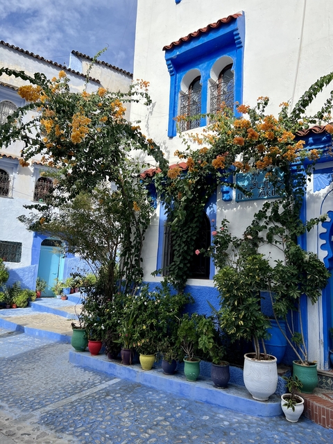       Blue and white houses covered with lush vegetation.
  