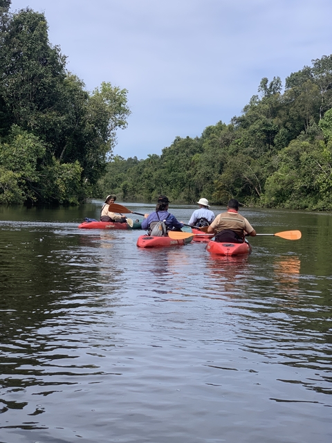 Group of people kayaking on a river surrounded by nature.
