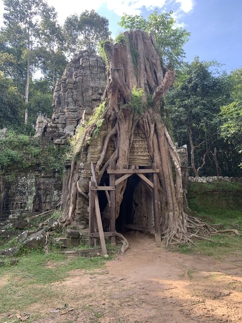 Ancient temple ruins intertwined with large tree roots.