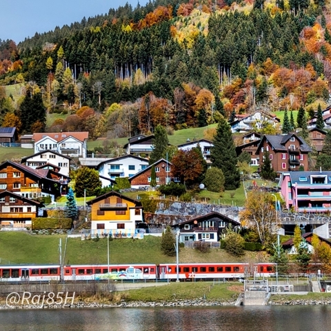 Europäischer Trubel (Winter, Ende Paris, 12 Tage) Foto von Kundenbewertung 
