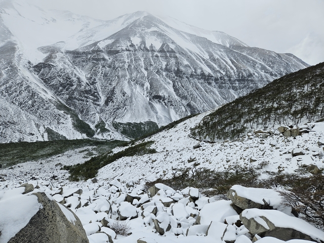 Snow-covered slope with rocky terrain and sparse trees.