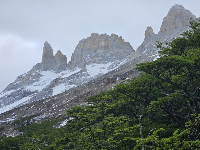 Majestic snowy mountains with vibrant green foreground.