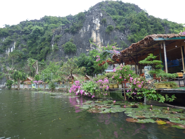 Floating garden with lush greenery and flowers on a lake.