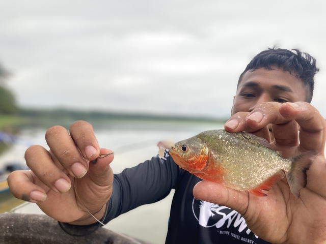 Man holding a piranha by a river.