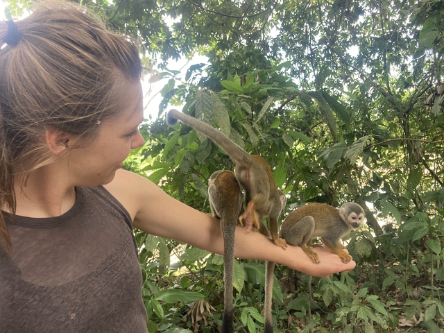 Woman interacting with small monkeys on her arm.