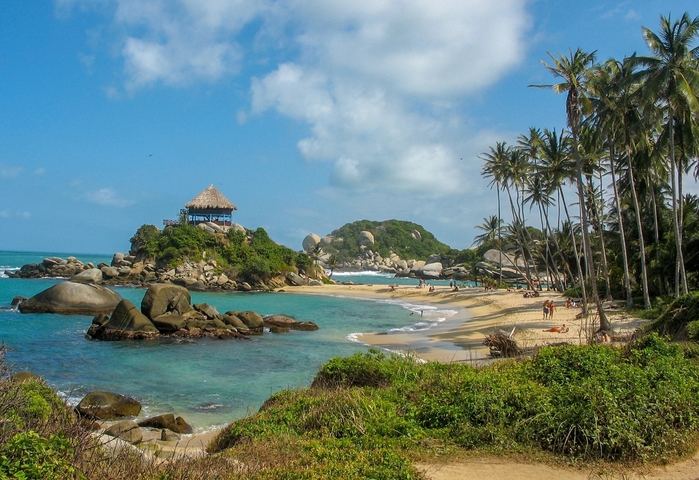 Scenic tropical beach with palm trees and clear blue water.