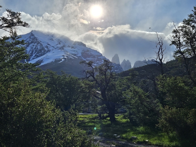 Dramatic mountain landscape with tree foreground and cloud-covered peaks.