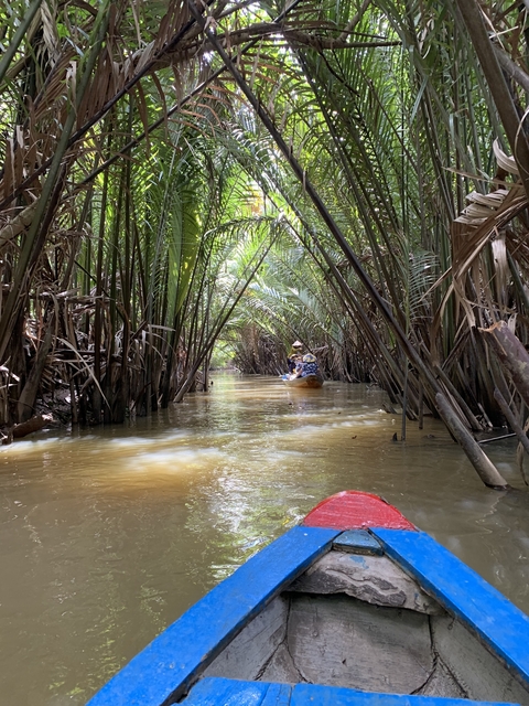 Boating through dense jungle waterways.