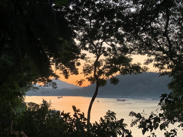 Sunset view of a body of water framed by trees.