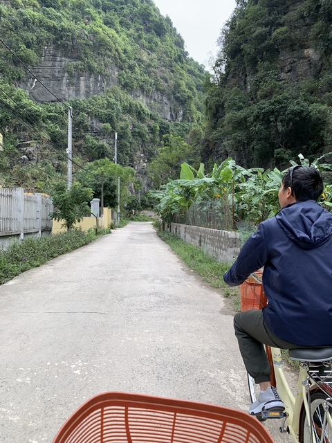Person riding a bicycle down a countryside road.