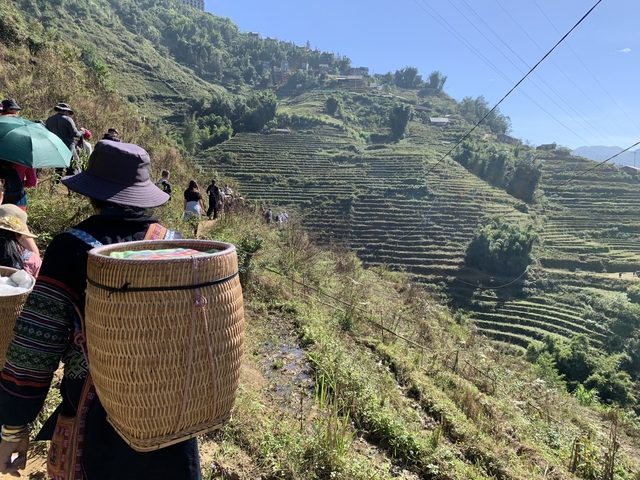       Group of people hiking on a terraced hillside trail.
  