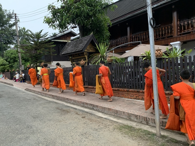 Monks in orange robes walking in a line on a street.