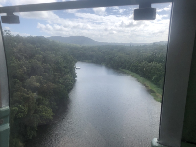 River flowing through a forest with a boat