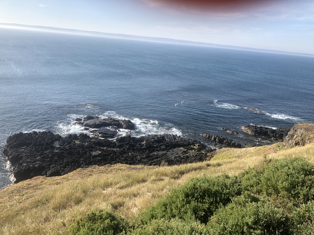       Rocky coastline with waves crashing
  