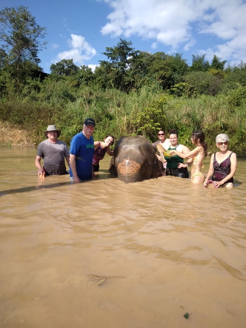 Group of people bathing an elephant in a river.
