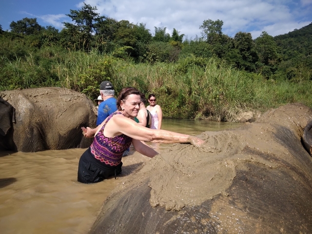 Woman interacting with an elephant in a river environment.
