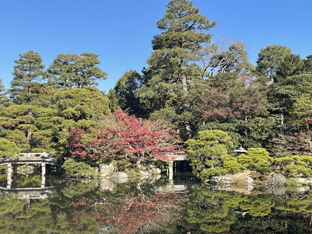 Reflective pond surrounded by trees with a stone bridge.