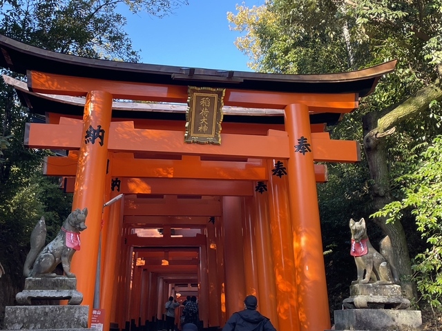       Torii gate pathway at Fushimi Inari Shrine.
  