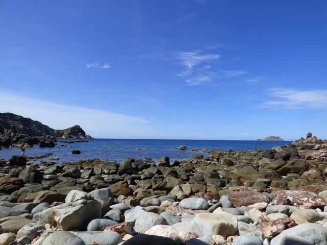       A rocky beach with a clear blue sky and horizon.
  