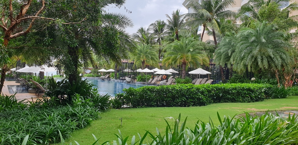       A lush green garden with a swimming pool and sunbeds.
  