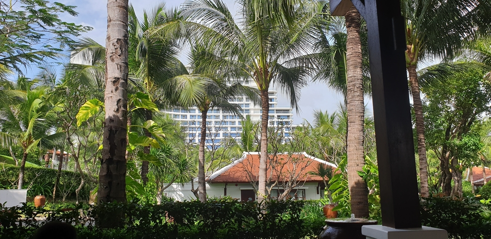       Palm trees and a white building in a tropical setting.
  
