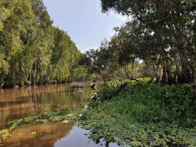 A serene riverbank surrounded by dense greenery.