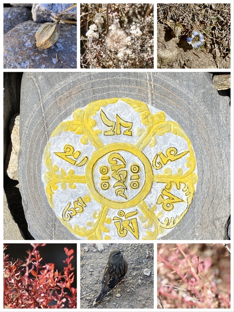 Stone tablet with intricate inscriptions painted in yellow.