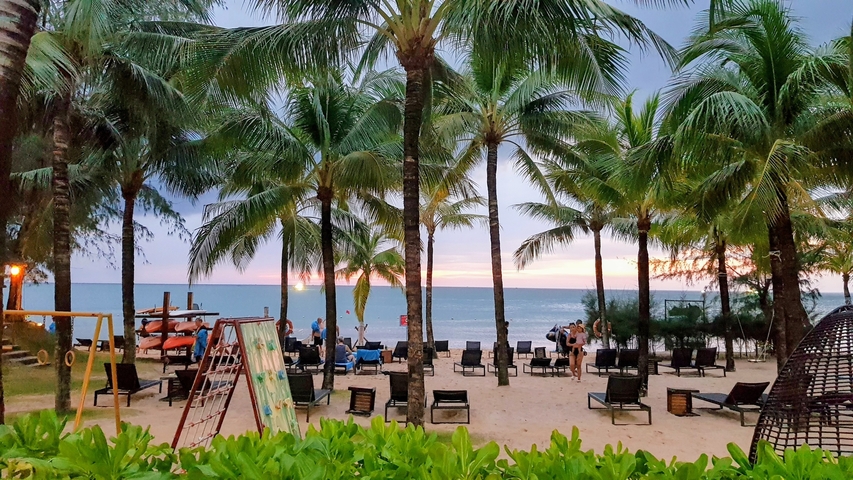 Beach with palm trees and people enjoying the view