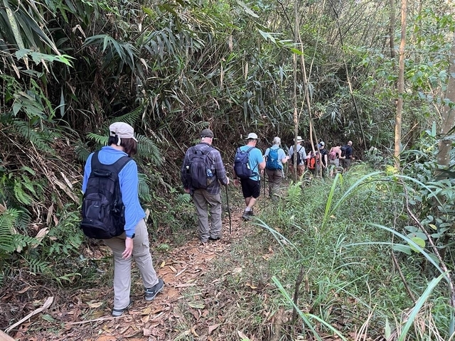       People hiking through dense jungle foliage
  
