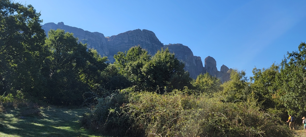       Mountain cliffs behind lush greenery.
  