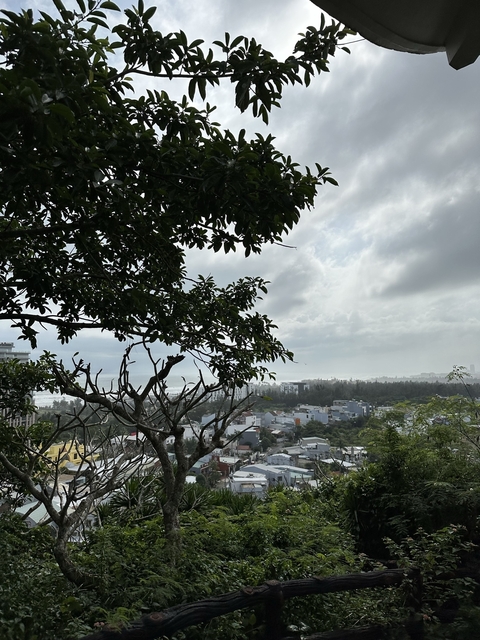 Overcast view of a city with trees and buildings in the foreground.