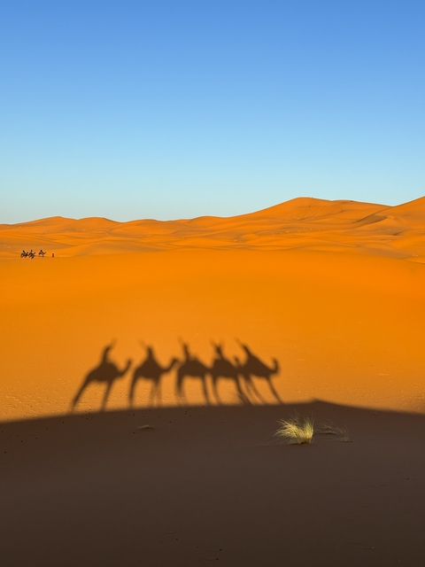 Silhouette of camels and riders against expansive sand dunes at sunset.