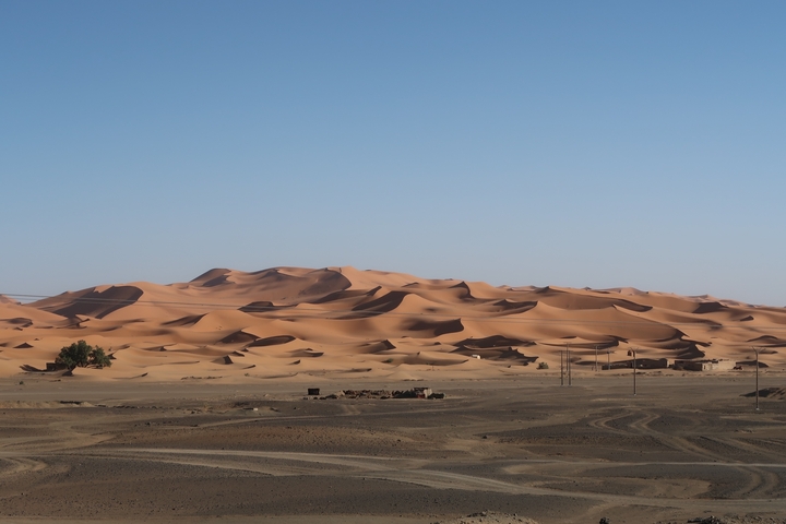 Vast desert landscape with varied sand dunes under a clear sky.