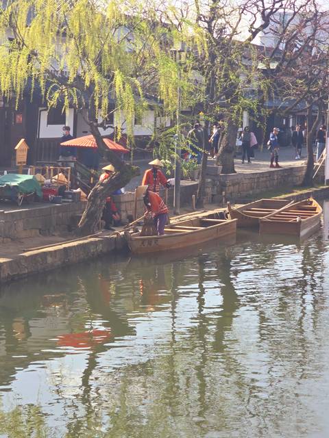 Boat tour along a river lined with willow trees.