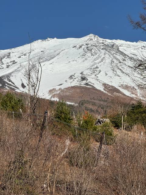 Snow-covered Mount Fuji and surrounding vegetation.
