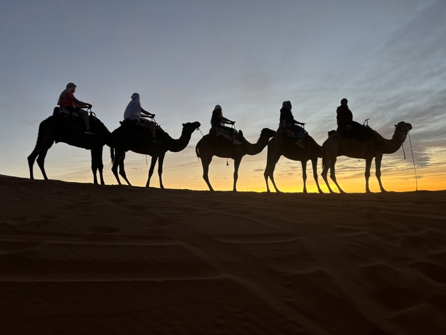 Silhouettes of people riding camels against a sunset.
