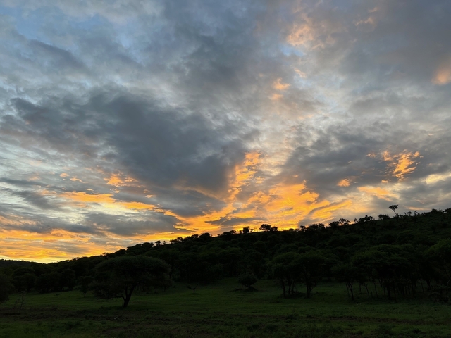       Dramatic sunset over a forested landscape.
  
