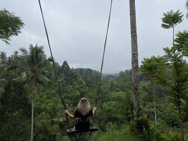       Person on a swing with a view of lush green forest.
  