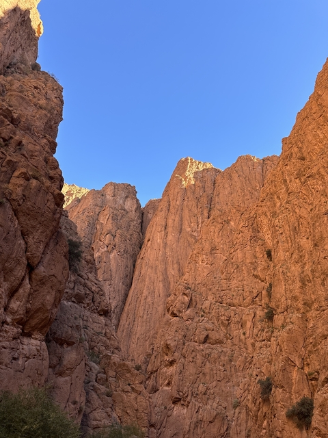 Todra Gorge with high cliff walls and clear blue sky.