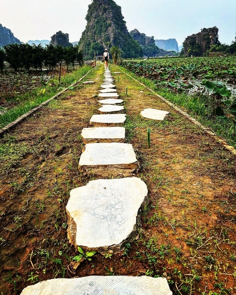       Stone pathway leading through a garden.
  
