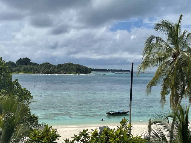 A scenic view of a tropical island with a palm tree and calm waters.