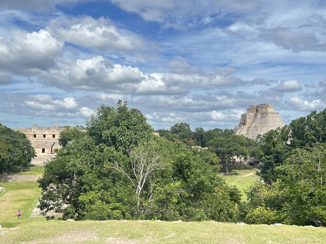       Ruins at Uxmal surrounded by greenery.
  