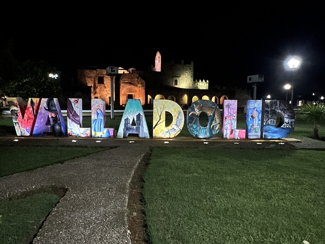       Valladolid sign illuminated at night in front of historical architecture.
  